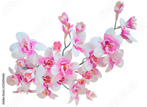 Low poly illustration pile of orchid flowers