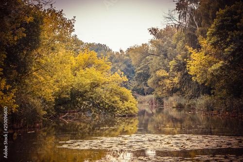 autumn in the park © Александр Маринич