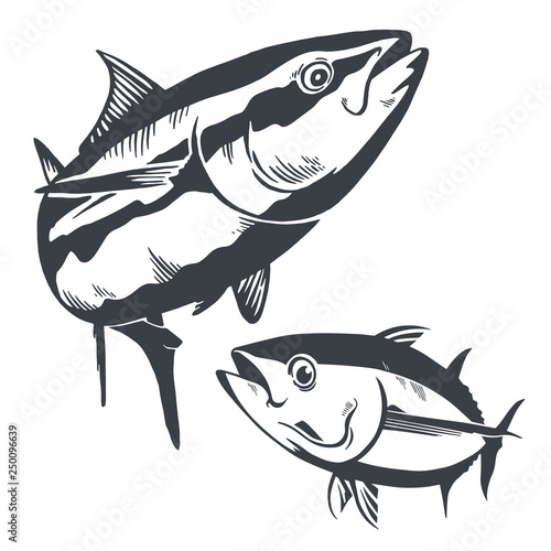 Tuna fish symbol composition on blue background,Vector. Sport fishing club, restaurant, canned, food logo, wallpaper, background...