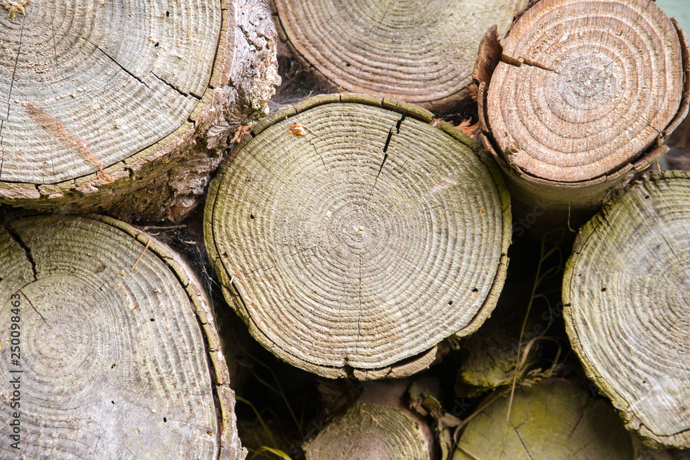 Firewood for the winter, pile of firewood Firewood for the winter, pile of firewood