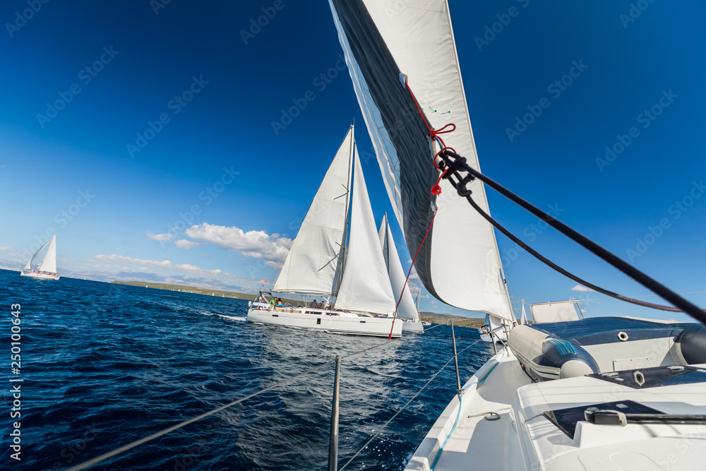 Obraz premium Sailing regatta yachts competition