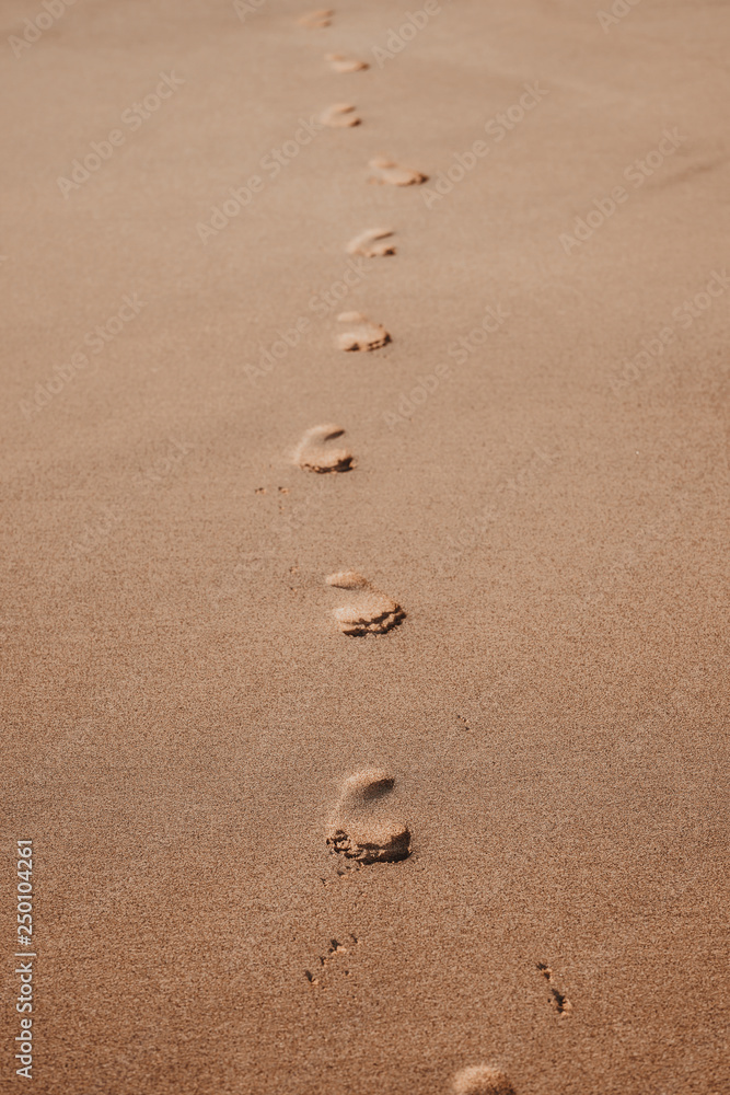 nature poster. sand beach and track of foot nature poster. sand beach and track of foot