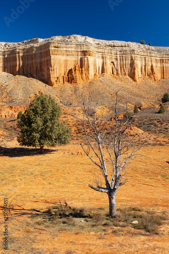 La Rambla de Barrachina desert place of red shales of Teruel, Spain photo