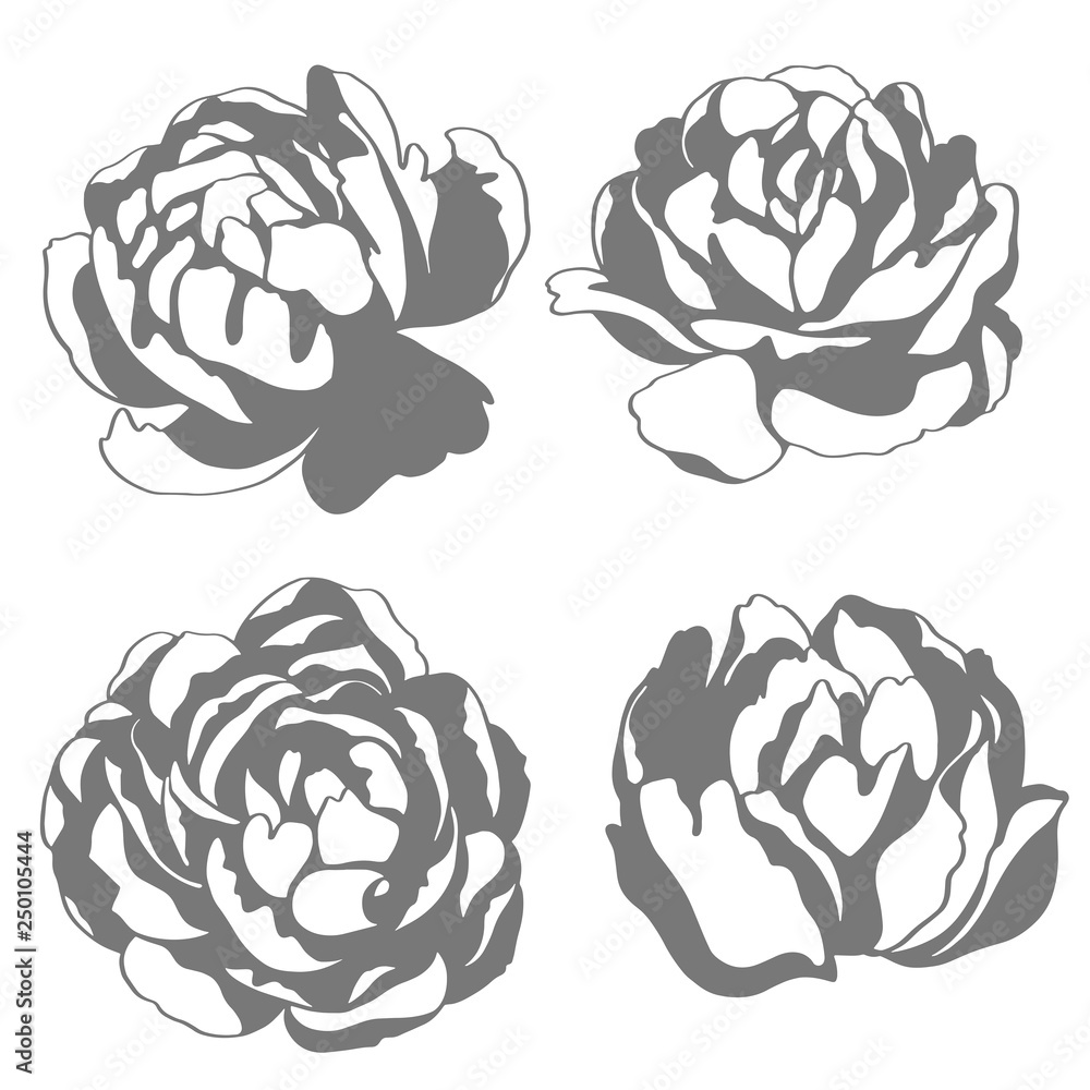 Obraz premium Vector stamp silhouette sketch illustration, flowers of peony. Floral element for wedding and invitation cards.