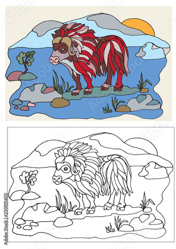 kids coloring book the animal world of the Arctic musk ox