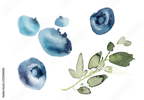 Watercolor blueberries on a white background with a branch.