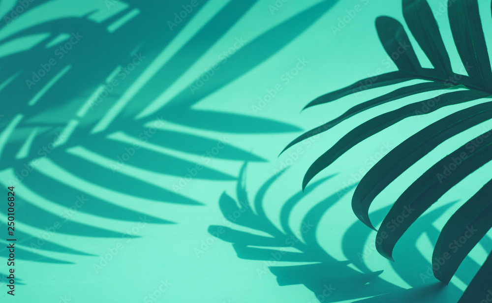 Selective focus of coconut and palm leaf with shadow on colorful . background.Tropical and summer,holiday concepts - obrazy, fototapety, plakaty 