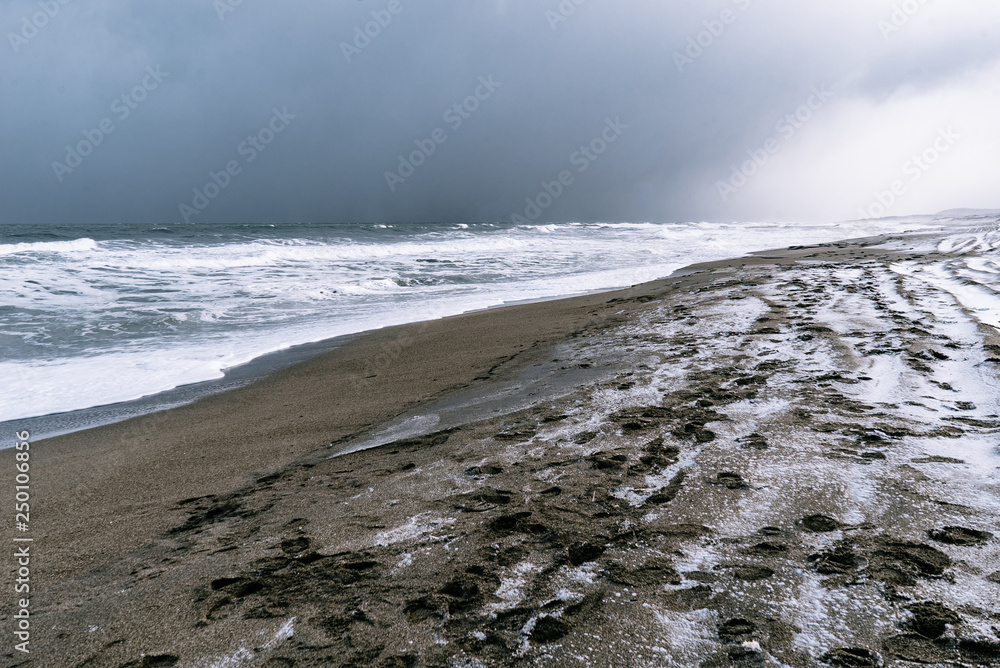 Fototapeta premium beach in winter