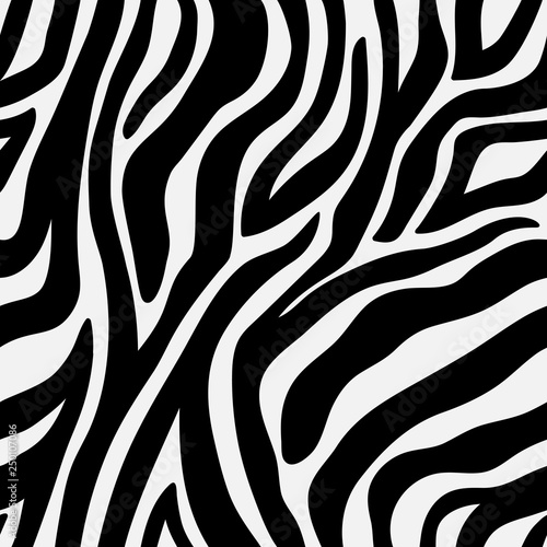 Animal pattern zebra seamless background with line. Illustration of seamless pattern background, animal wildlife zebra skin vector