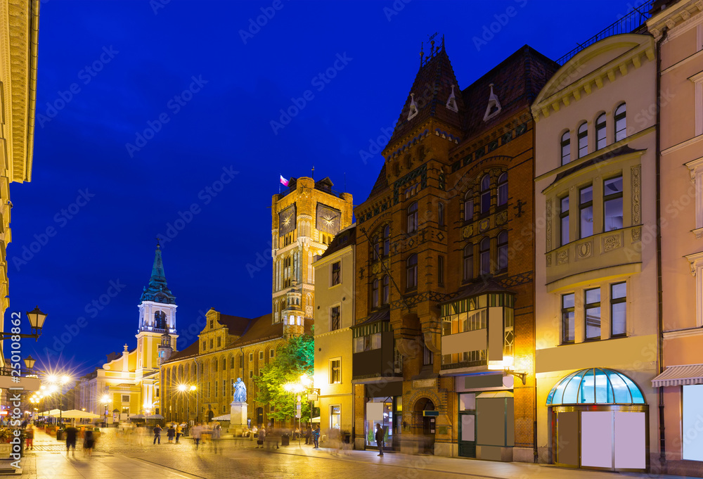 Obraz premium Torun Town Hall and statue of Copernicus