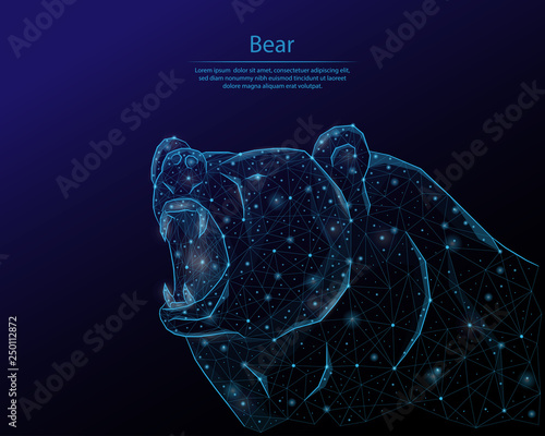 Abstract image of a bear in the form of the constellation. Consisting of points and lines. Low poly vector background.