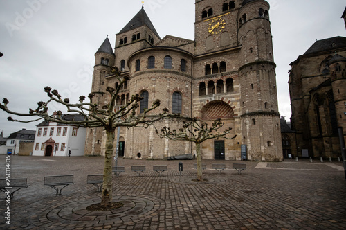 EXternal view of Trier Saint Peter's cathedral and a tree in front of it