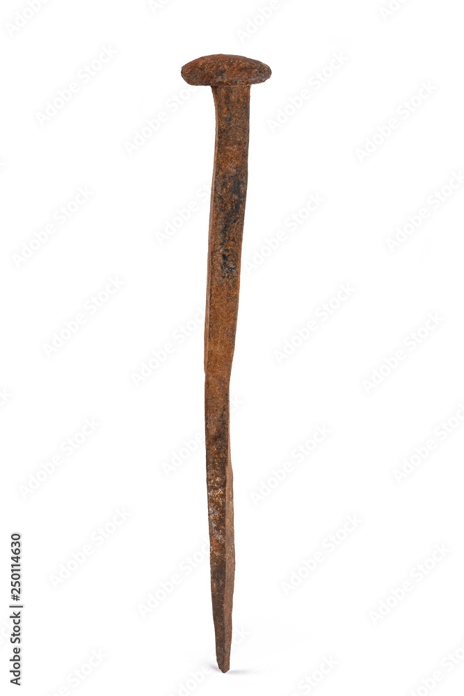 Obraz premium old nail