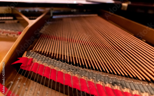 interior of a grand piano