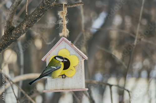 A small yellow tit sits on a yellow bird and squirrel feeder house from plywood in the park