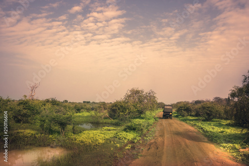 Safari travel tour on suv car in Yala national park reserve wetlands in Sri Lanka in vibrant orange pink purple colors photo