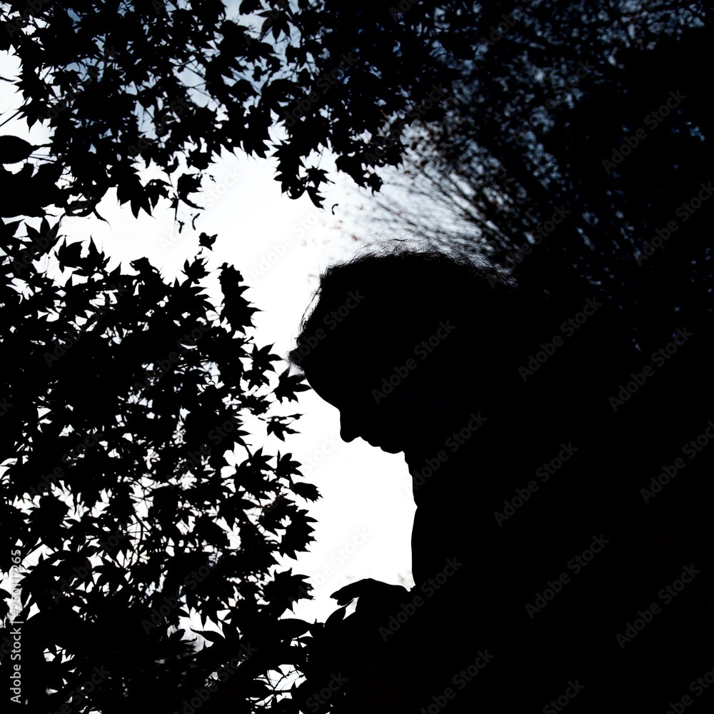 Silhouette of female head and maple leaves against the sky