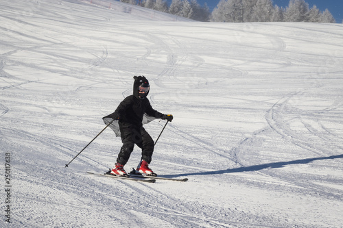 Teenage girl dressed in a bat costume enjoying downhill skiing on a freshly groomed ski slope. Beautiful sunny day with trees covered with snow and blue sky.