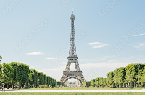 eiffel tower in paris © espiegle