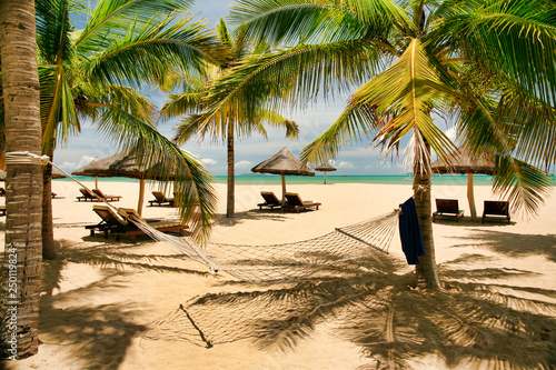 Many empty sun loungers under shady palm trees and a hammock on the beach of Hainan Island photo