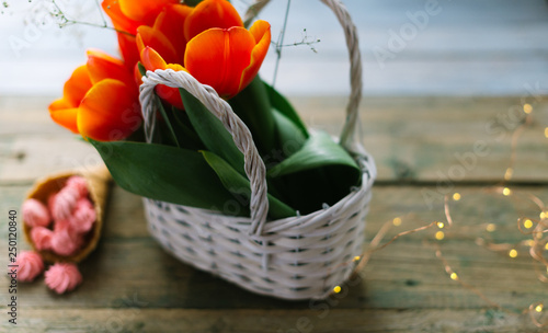 Blooming tulips near the horn with pink marshmallows photo