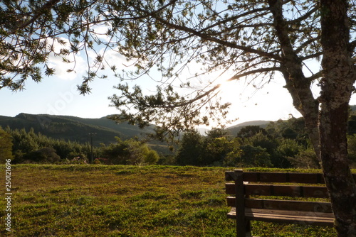 Rural landscape