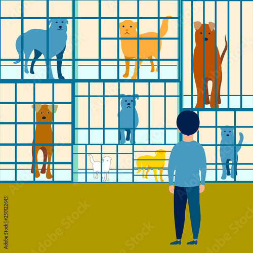 The boy chooses a dog in an animal shelter flat. In minimalist style. Cartoon Vector