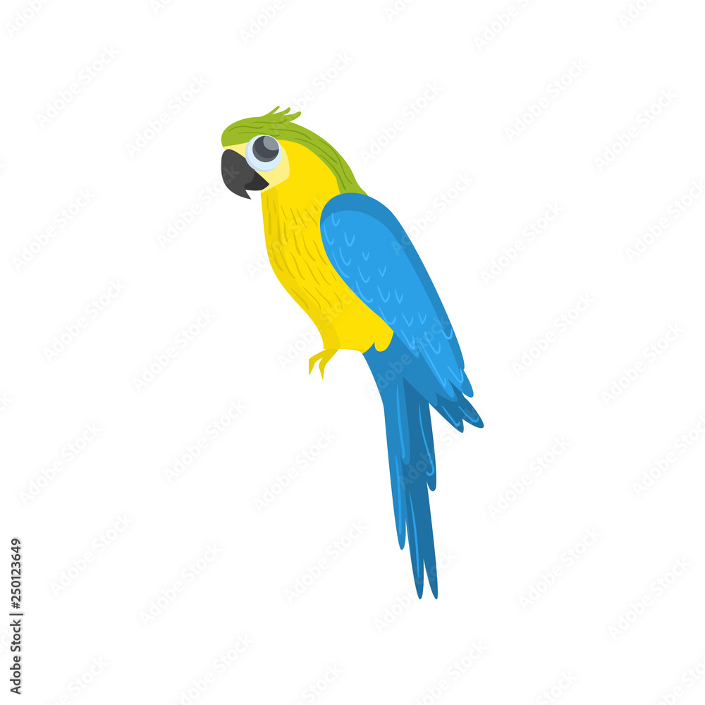 Big blue and yellow sitting parrot isolated on white background. Side view
