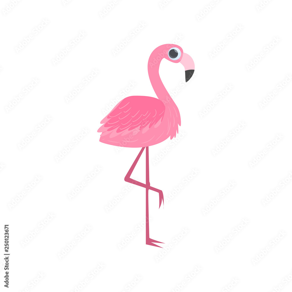 Big pink standing on one leg tropical flamingo isolated on white background. Side view