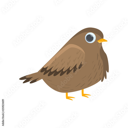 Brown nightingale standing isolated on white background. Side view