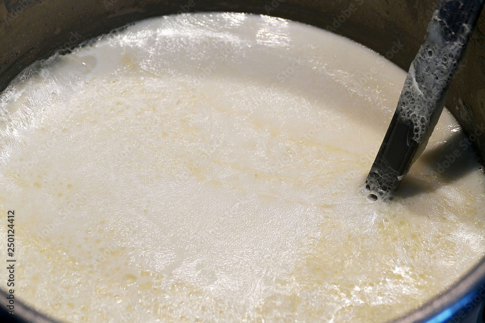 cooked milk and milk cream on it, The pellicle formed on milk, baked milk in a pot and milk cream on it, cooked milk and milk cream on it, The pellicle formed on milk, baked milk in a pot and milk cream on it,