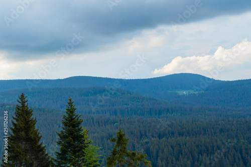 Fototapeta Naklejka Na Ścianę i Meble -  Schwarzwald von oben