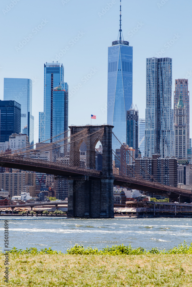 New York City Bridge View