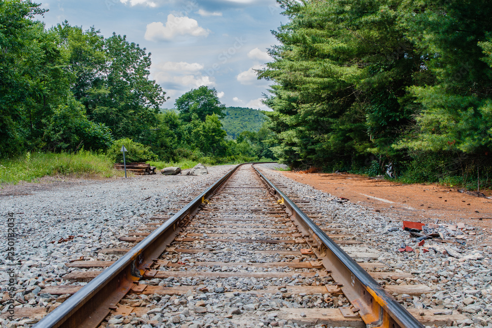 Obraz premium Railway in the Forest