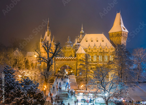 Budapest, Hungary - Christmas market in snowy City Park (Varosliget) from above at night with snowy trees and Vajdahunyad castle