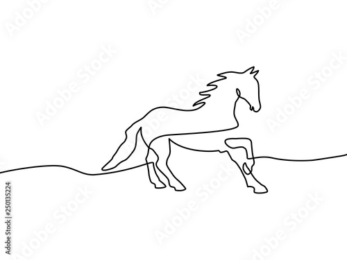 Continuous line drawing of horse . Black and white vector illustration. Vector