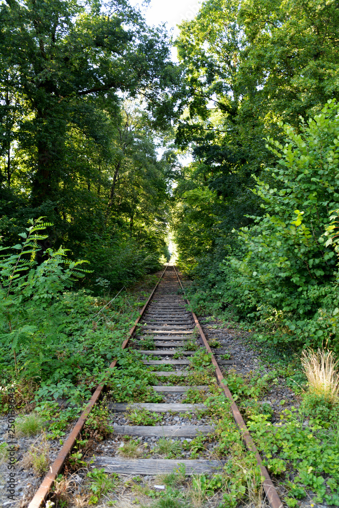 Alte stillgelegte Eisenbahnstrecke Alte stillgelegte Eisenbahnstrecke