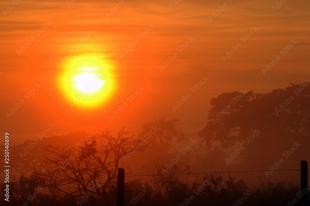 Obraz premium Manhã na estrada