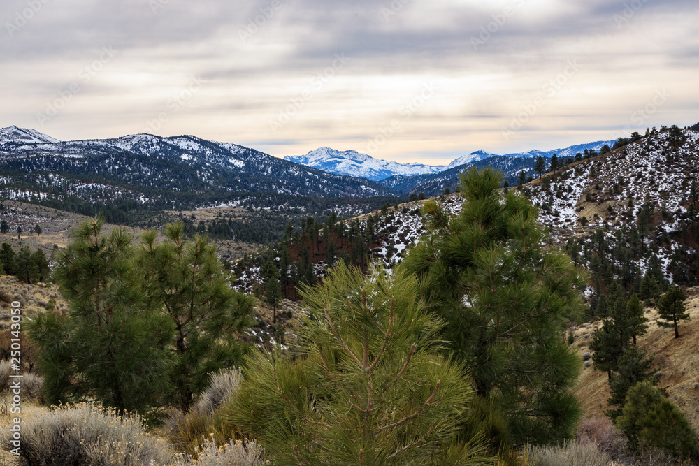 Winter in the Eastern Sierra foothills