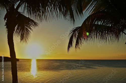 Fototapeta Naklejka Na Ścianę i Meble -  Sonnenuntergang mit Palmen auf dem Meer