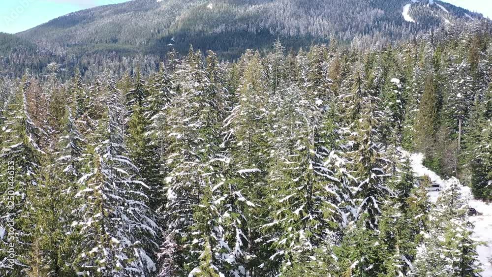 Aerial view at Forest in Winter with Mountains Background in British Columbia, Canada. 4K.