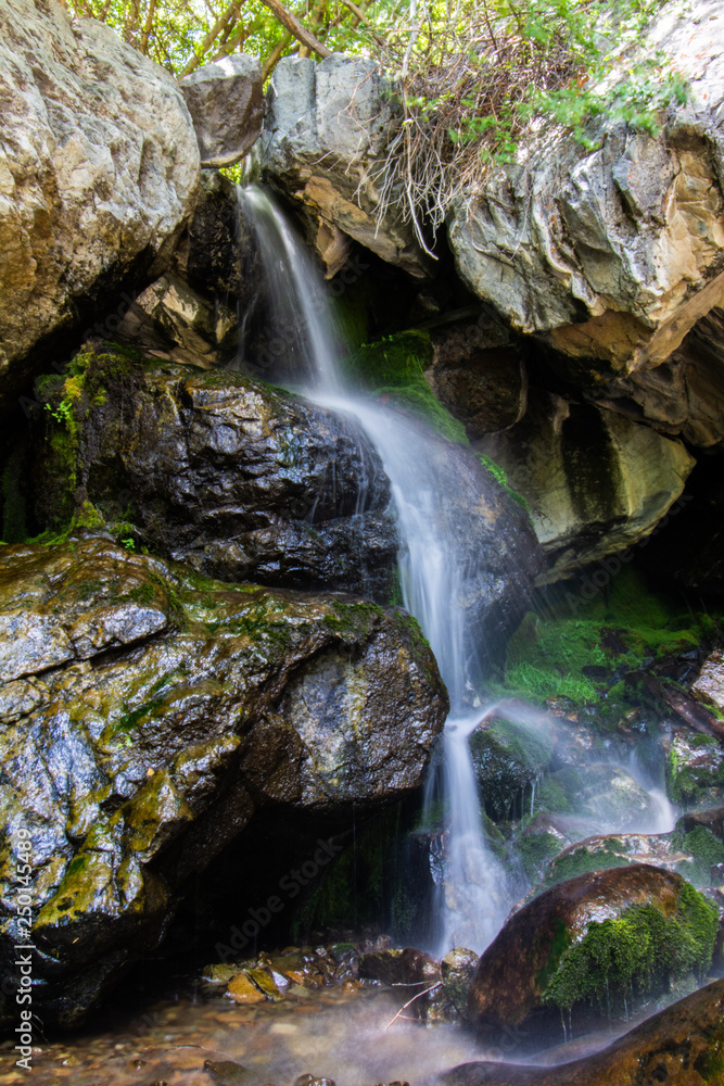 Obraz premium waterfall in nature