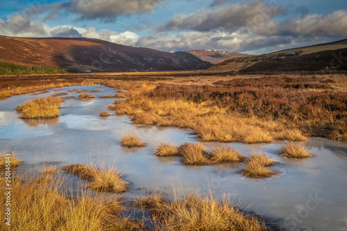 The Linn O' Dee gives unrivalled access to some fine examples of classic features of a Highland landscape: remnants of the ancient Caledonian pine forest, heather moorland and parts of the high Cairng