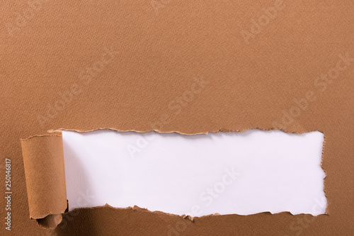 Torn brown paper strip white background curled edge