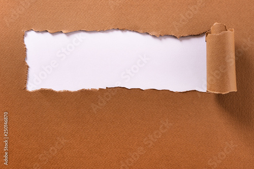 Torn brown paper rolled edge header frame white background