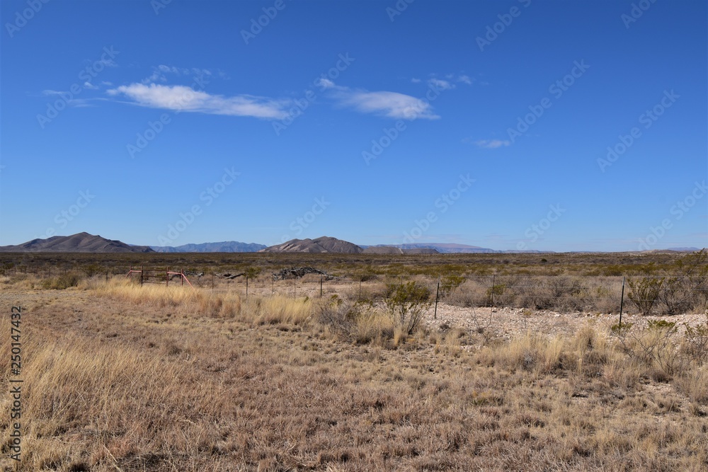 Southwest Desert