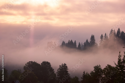 Morning sunrays through the fog. Fog smoke in Carpathian mountains. Sunrise scene with the mountain forest and beautiful cloudscape. © DenisProduction.com