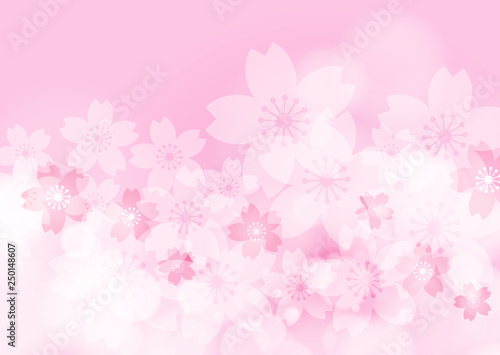 Cherry Blossom, Pink Background, Vector Graphics