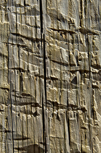 Closeup of Hand Hewn Wood marks photo