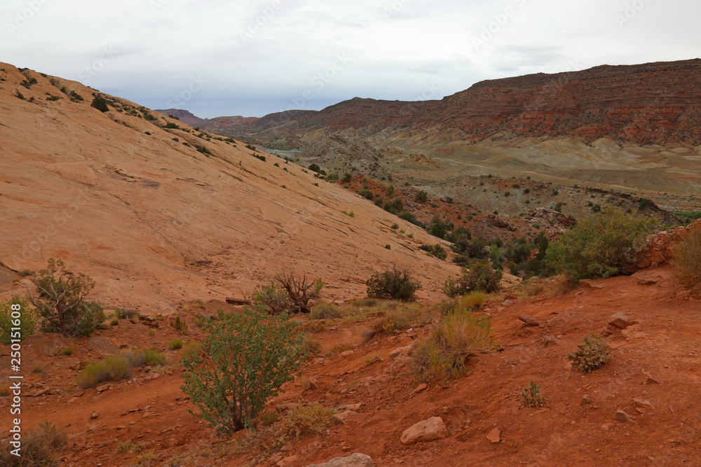 A view of Cache Valley near the lower delicate arch viewpoint in Arches National Park, Utah.